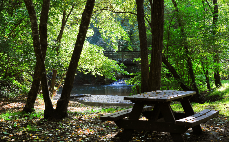 Site de Moulin Bidon, Martignas-sur-Jalle - photo 3