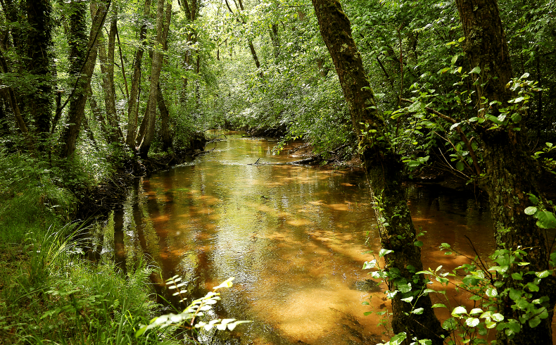 Site de Moulin Bidon, Martignas-sur-Jalle - photo 2