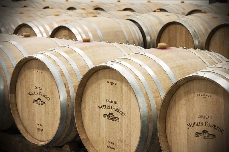 Château Moulin Caresse - photo 3