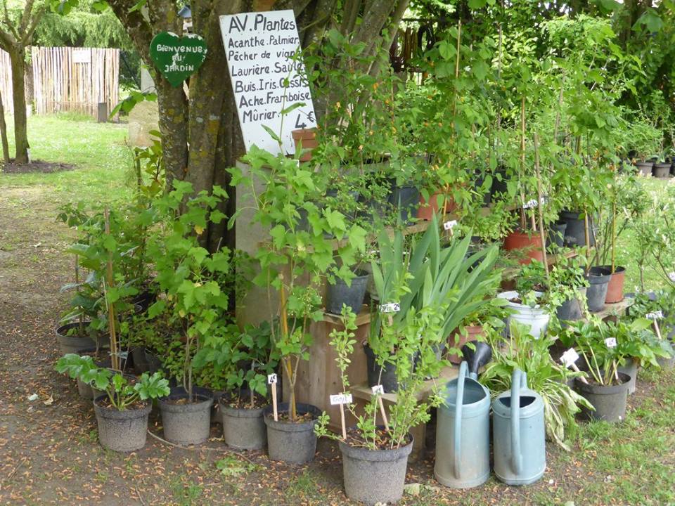 Moulin de Cocussotte, Saint-Pierre-sur-Dropt - photo 10