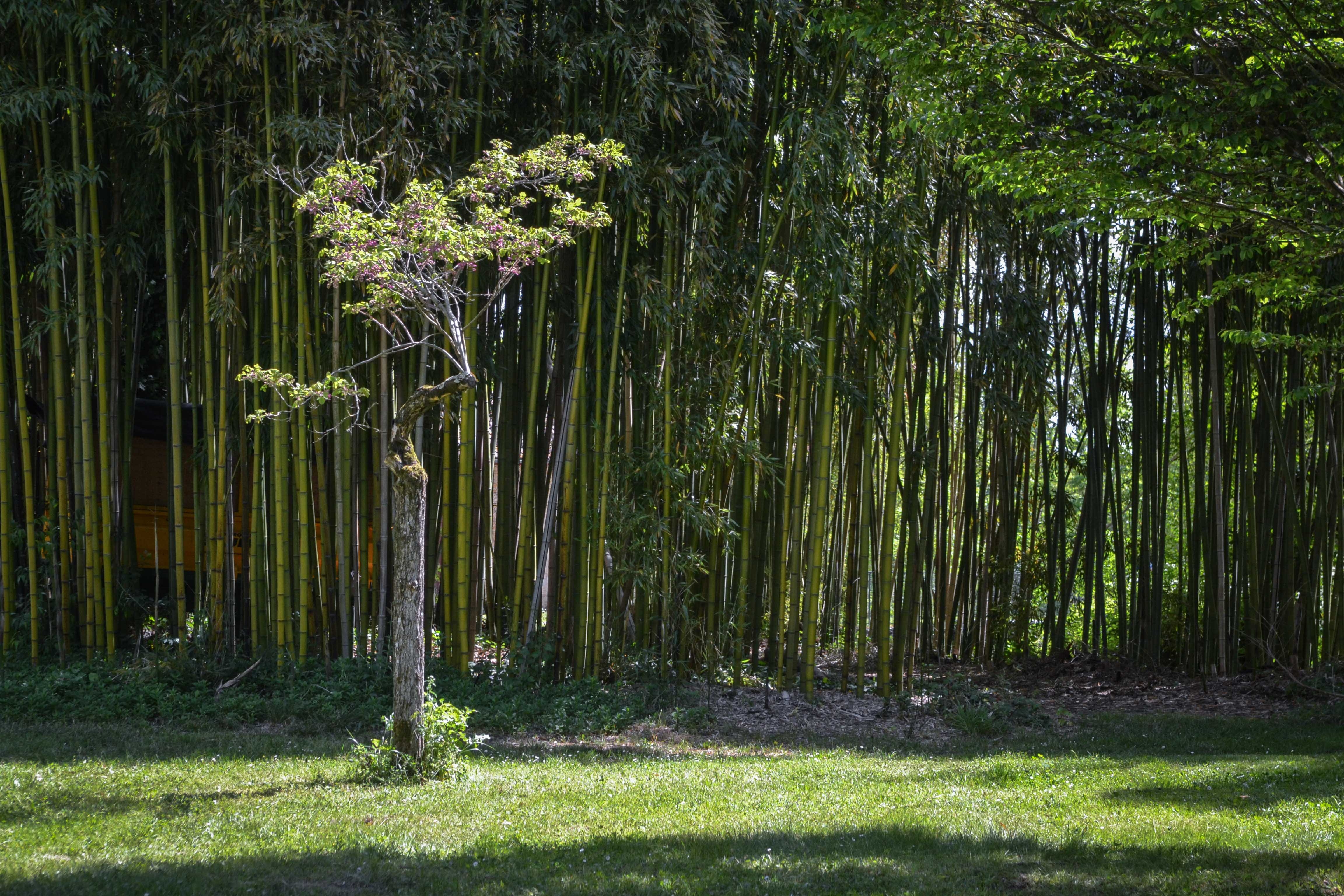 Super balade : Au fil de l'eau bourde