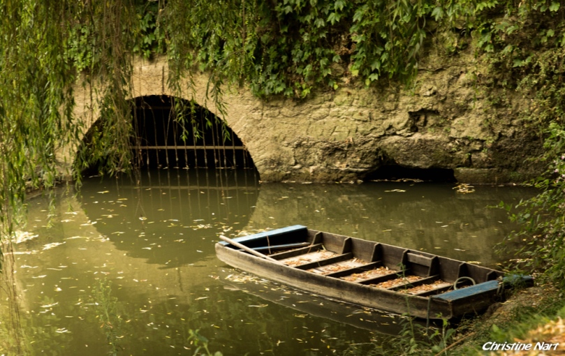 Rendez-vous aux jardins au Moulin de Cocussotte, Saint-Pierre-sur-Dropt - photo 6