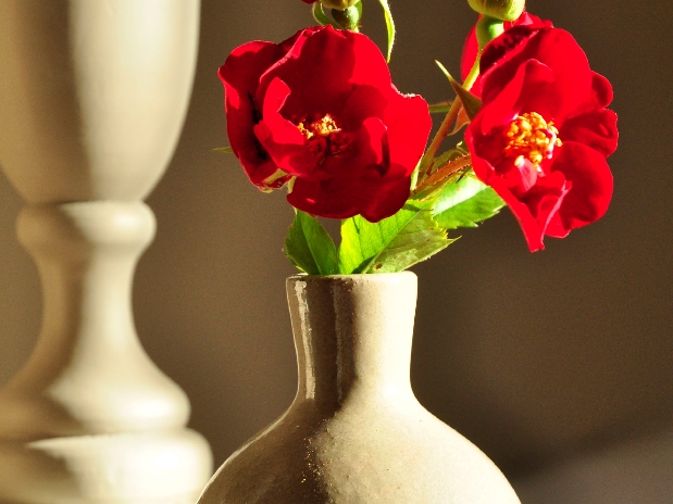 Moulin de Labique - photo 2