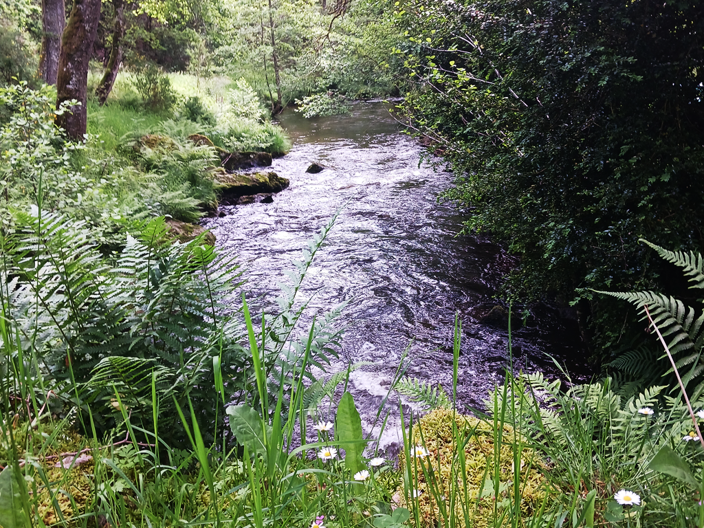 Location "Moulin de Sansonnèche", Gioux - photo 13