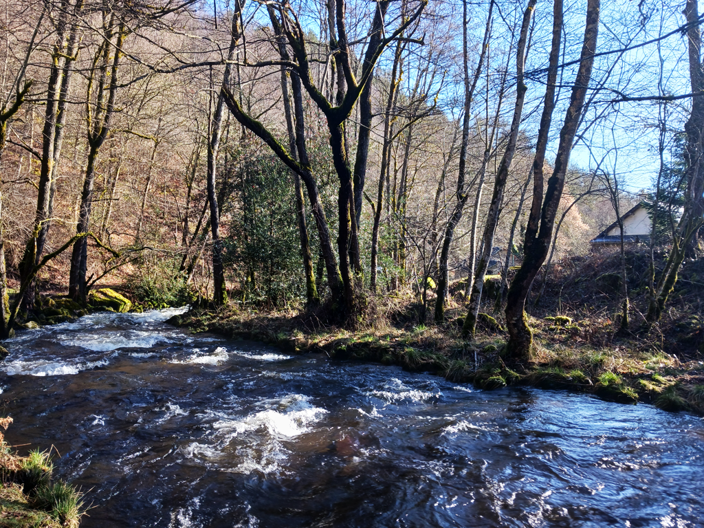 Location "Moulin de Sansonnèche", Gioux - photo 17