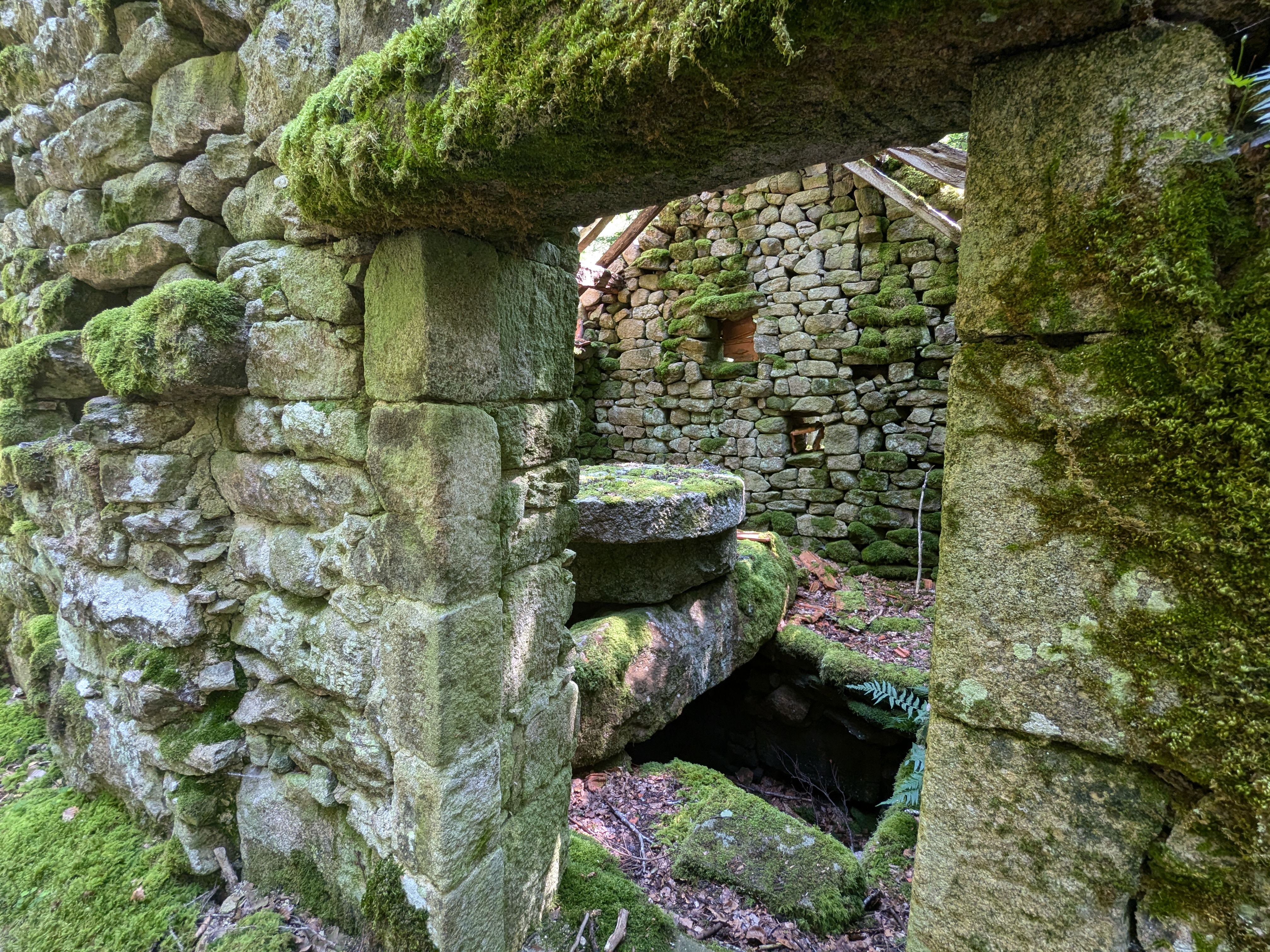 Le Rocher de Servière, Bugeat - photo 4
