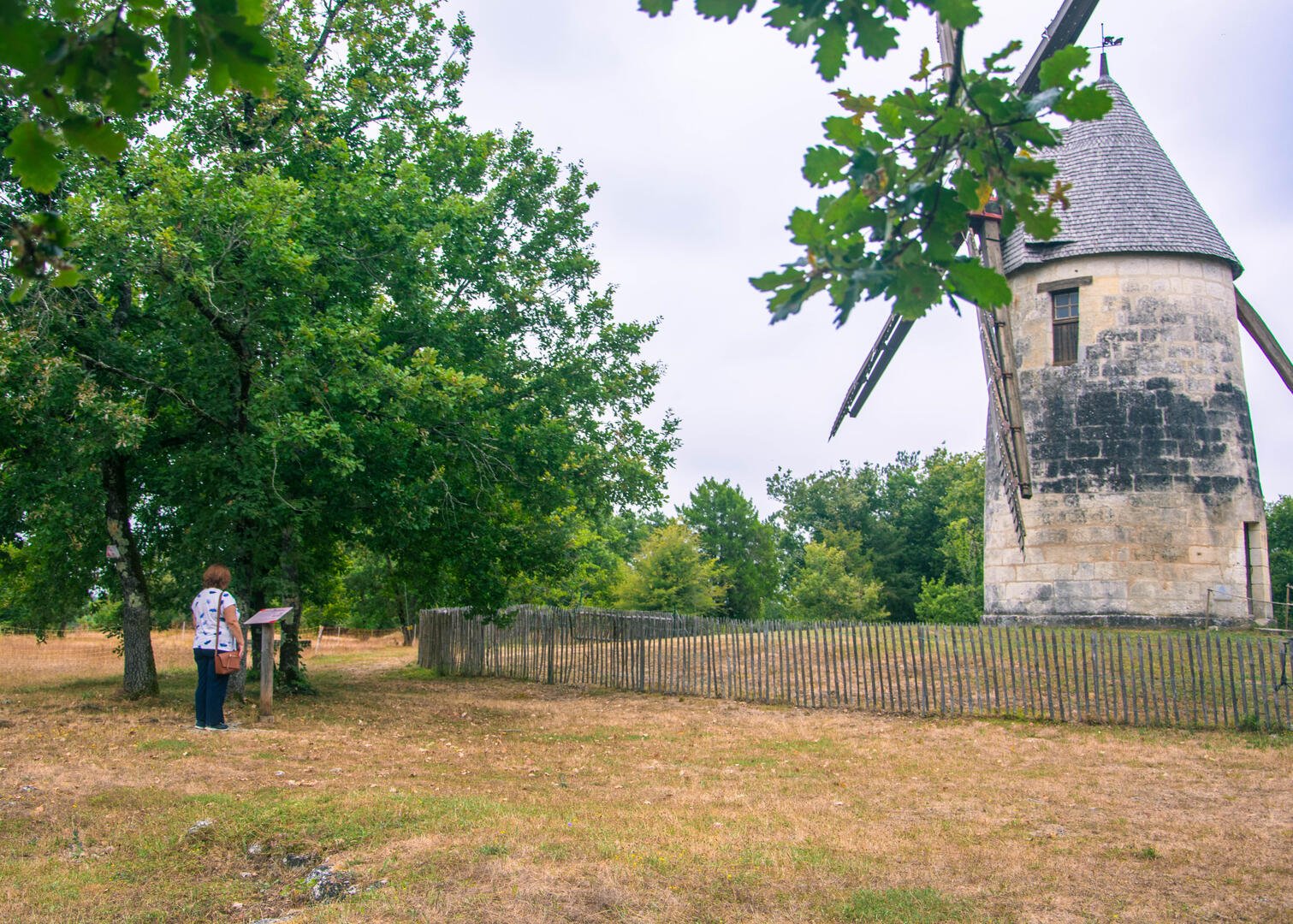 Moulin à Vent des Terres Blanches, La Tour-Blanche-Cercles - photo 5