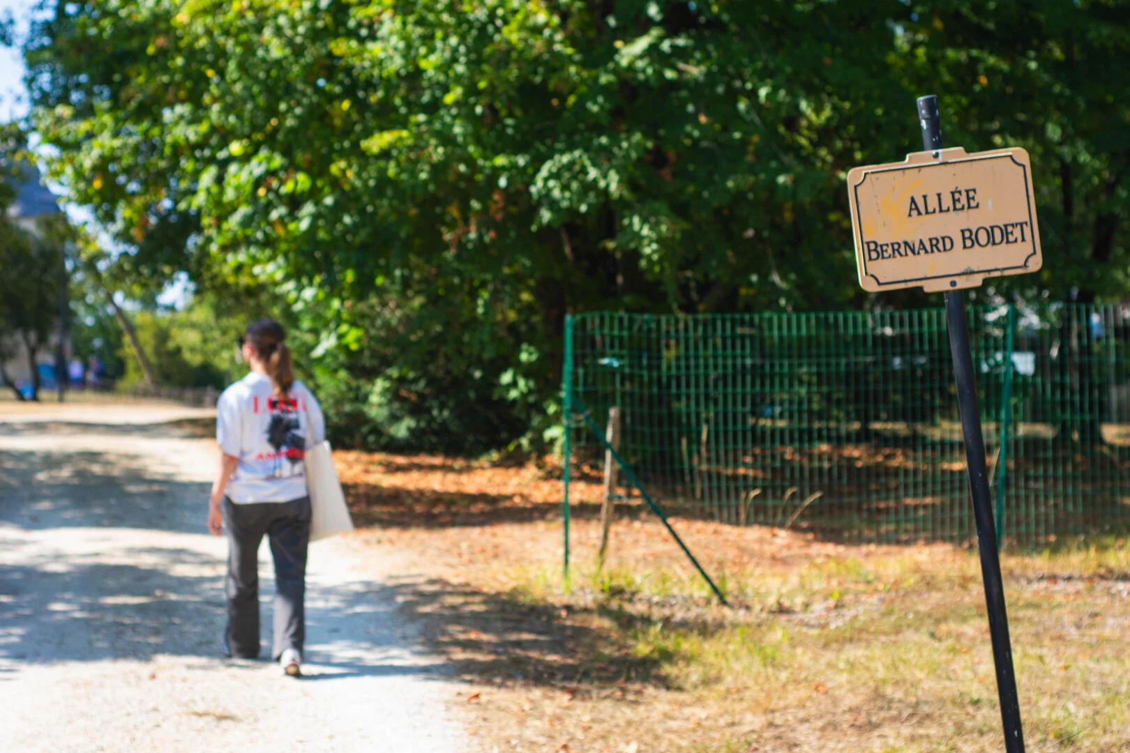 Moulin à Vent des Terres Blanches, La Tour-Blanche-Cercles