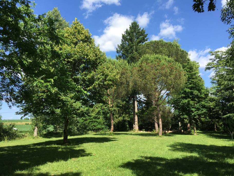 Le Moulin du Dropt, Monteton - photo 6