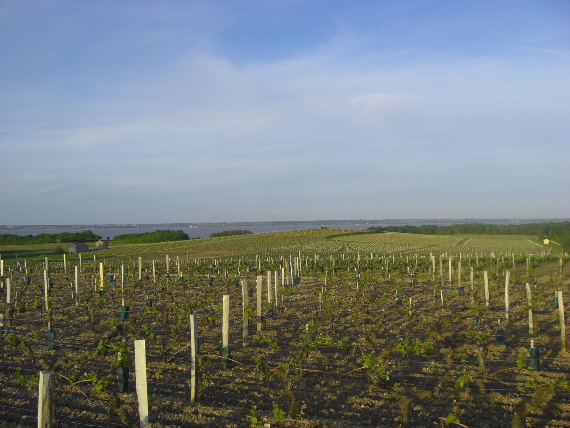 Château Moulin de Blanchon - photo 3