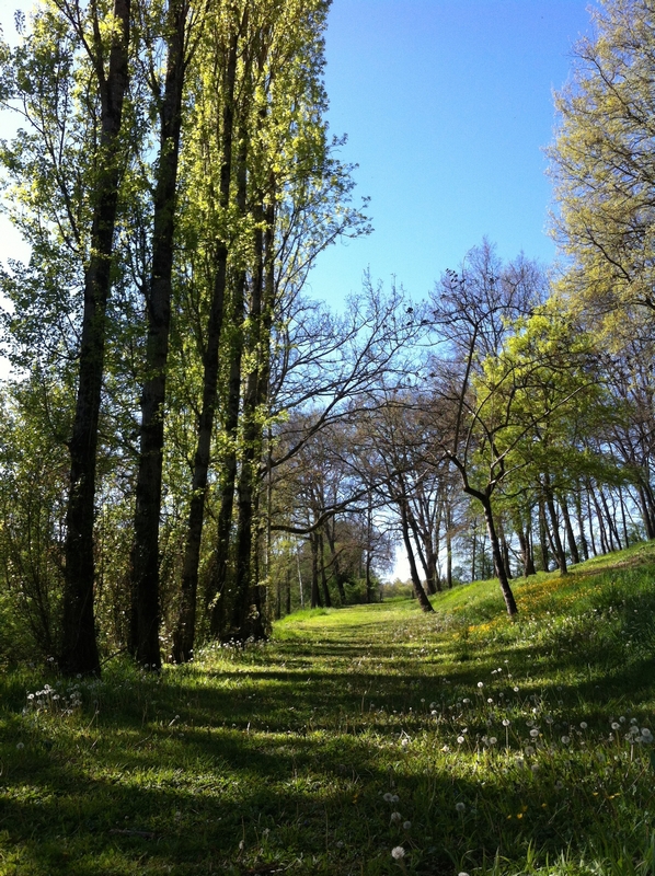 Moulin de Bapaumes - photo 5