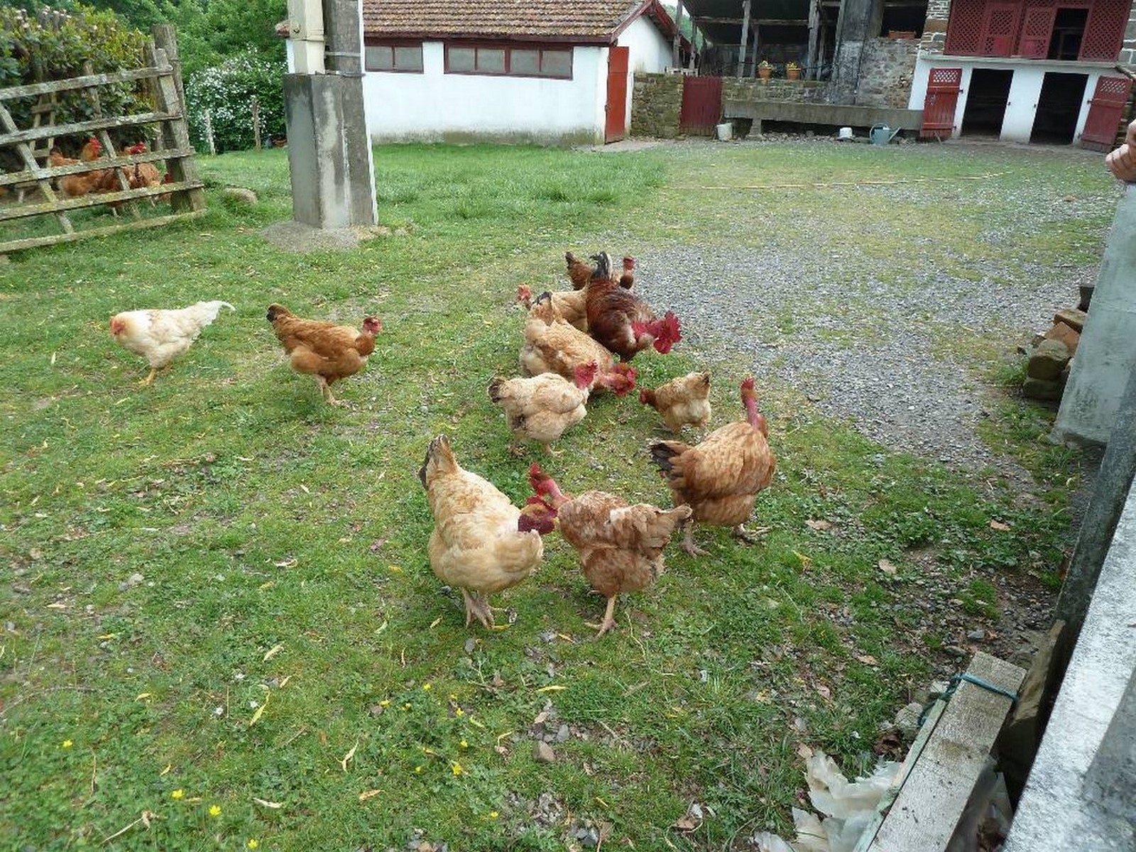 Maison Munhoa - photo 5