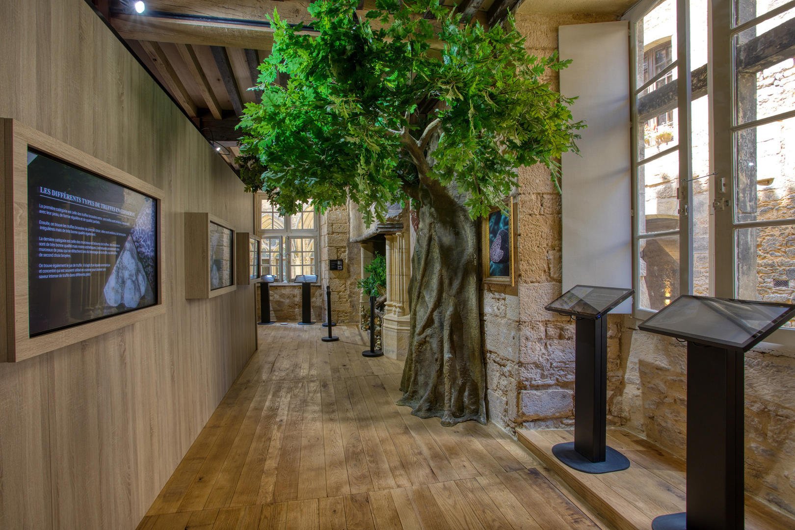Musée de la truffe — photo 2
