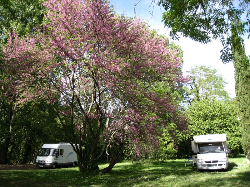Ferme et Musée du Pruneau - photo 4