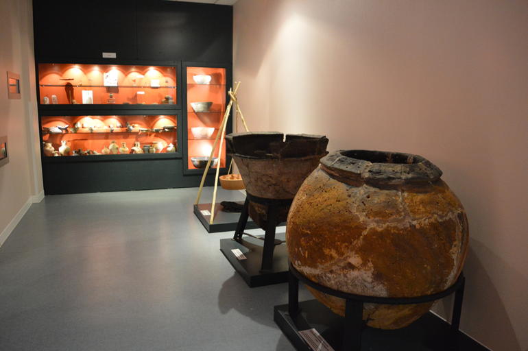 Les dimanches découverte du Musée du lac avec un médiateur, Sanguinet - photo 6