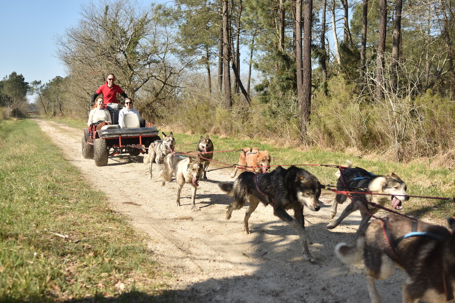 Mush Gironde — photo 2