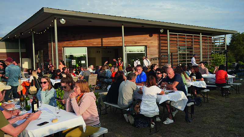 Music & Wine concert au cœur des vignes