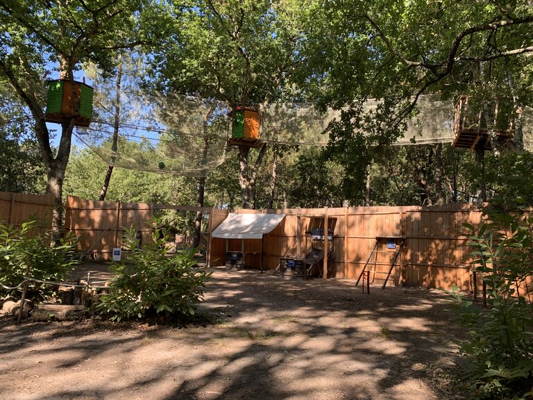 Mystic Woods Park — photo 3