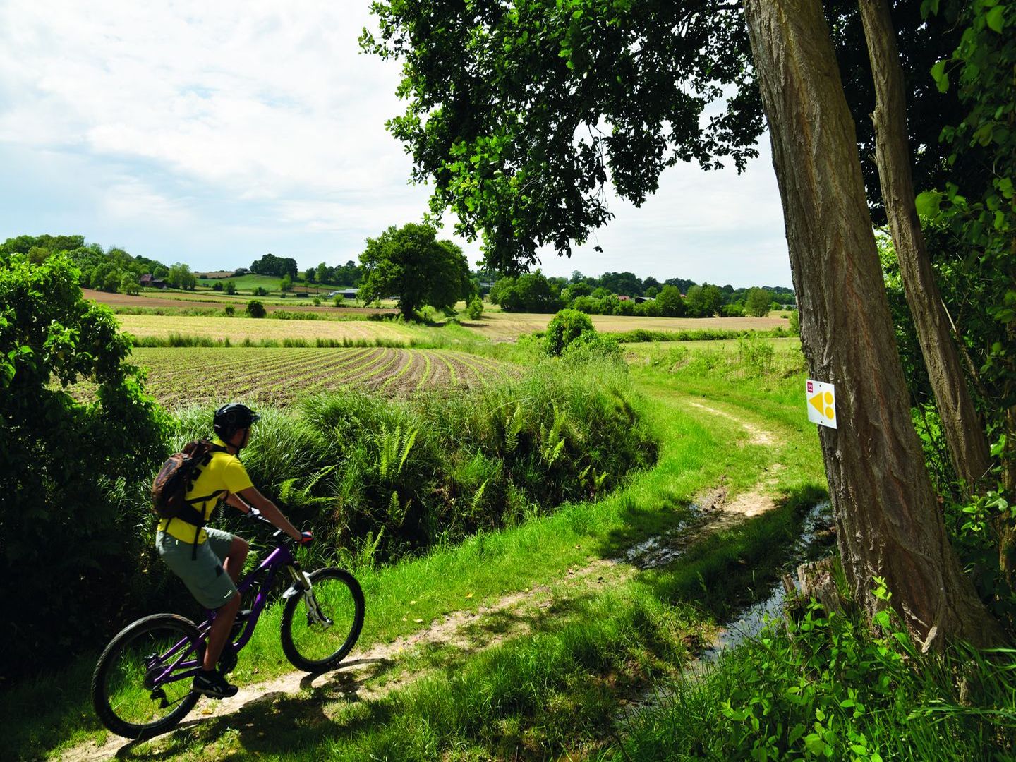 Montardon : les Marlères à VTT - photo 4