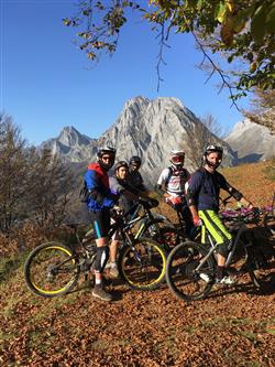 N49-Vtt-billare-2