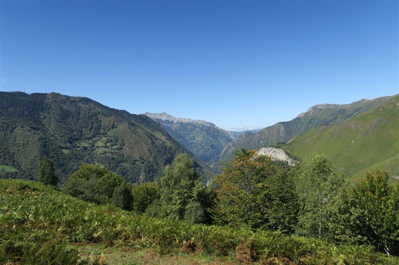 N°60 Sur les traces de l'ours petit circuit