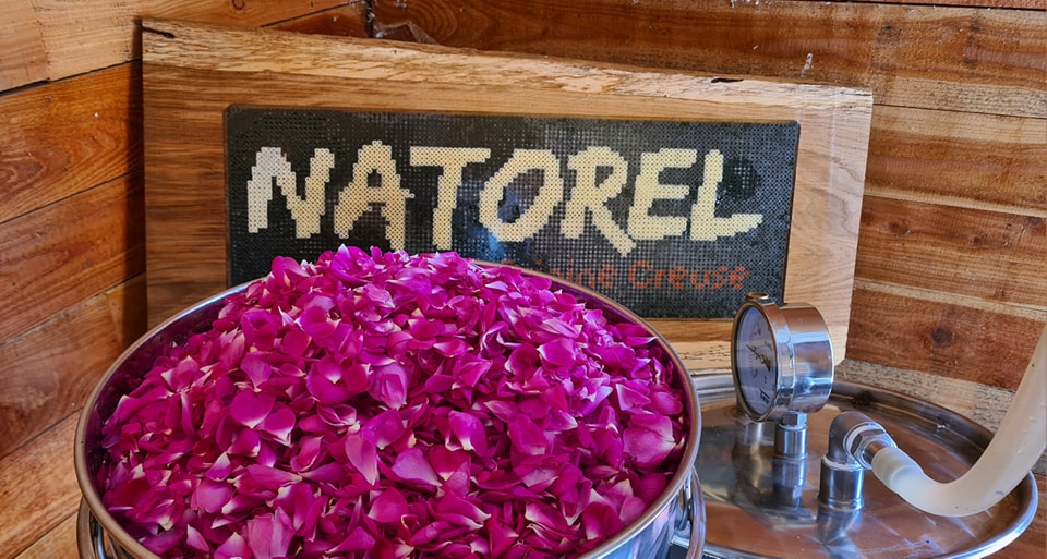 Natorel — photo 3