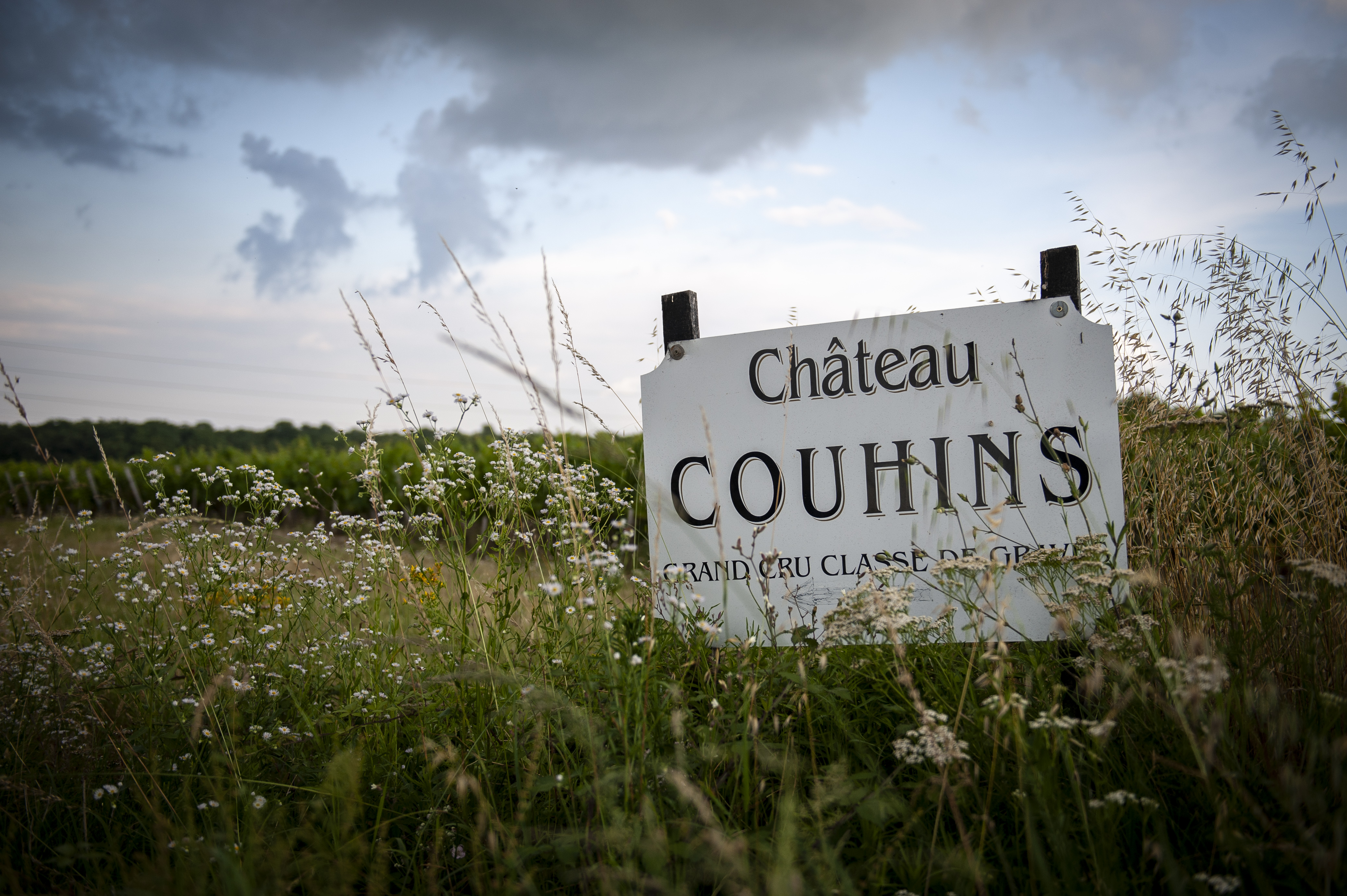 Château Couhins - photo 5
