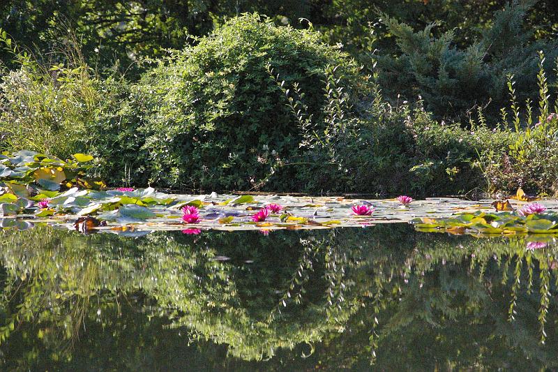 Les Jardins d'Eau, Carsac-Aillac - photo 5