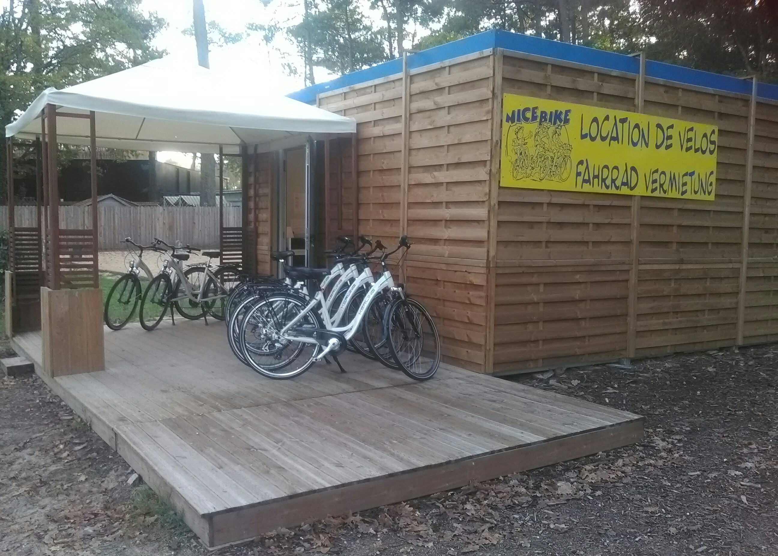 Nice Bike - Claouey — photo 2