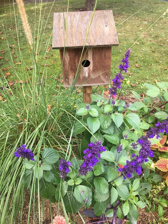 Balade au fil des ans à Lanouaille, Lanouaille - photo 2