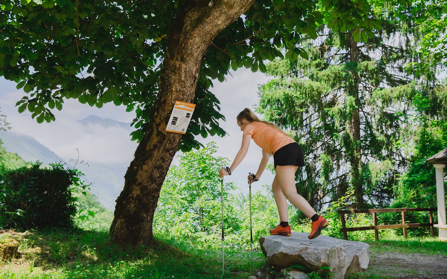 Parcours initiation Eaux-Bonnes - photo 4