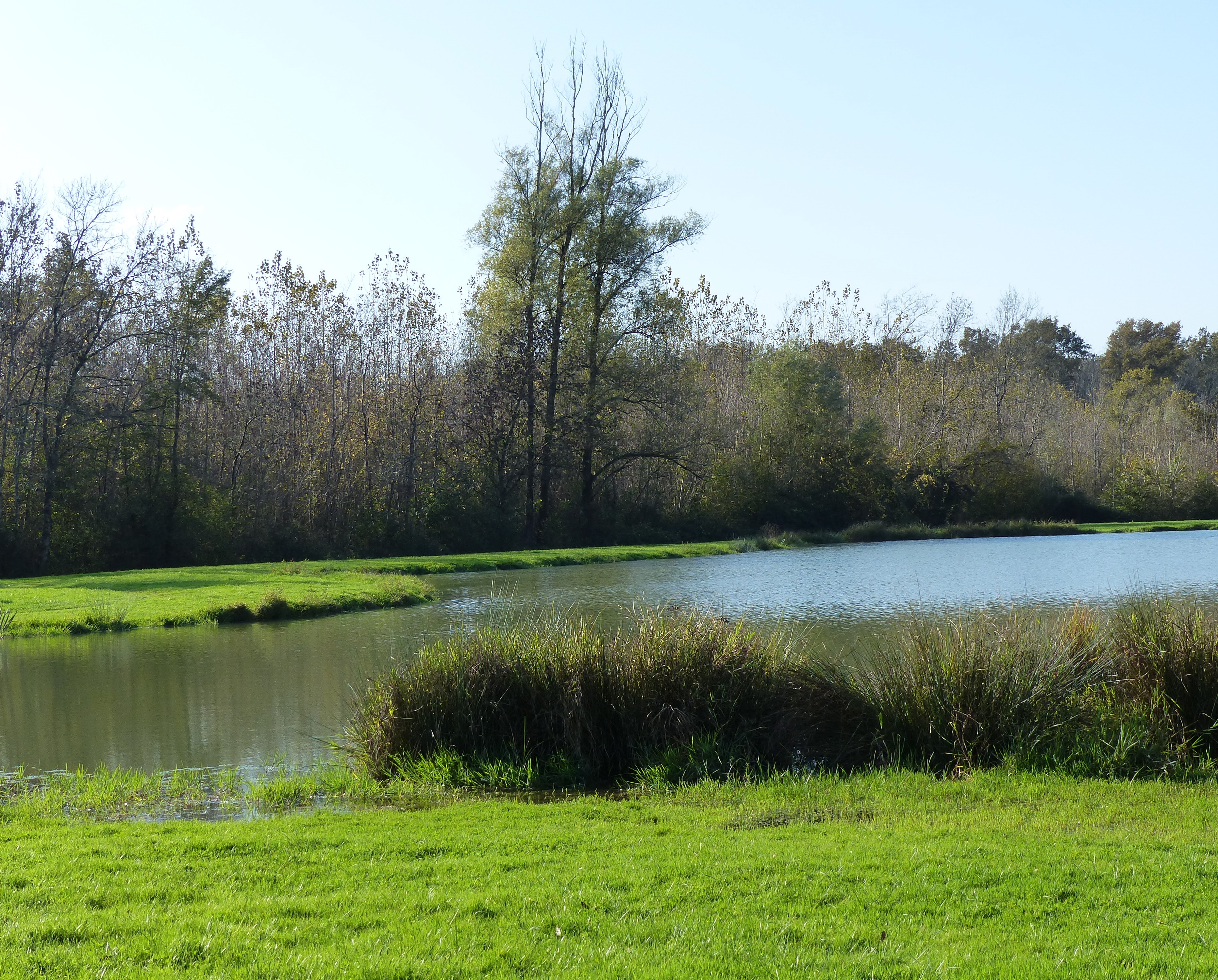 Boucle du Petit Chartron, Saint-Germain-de-la-Rivière - photo 3