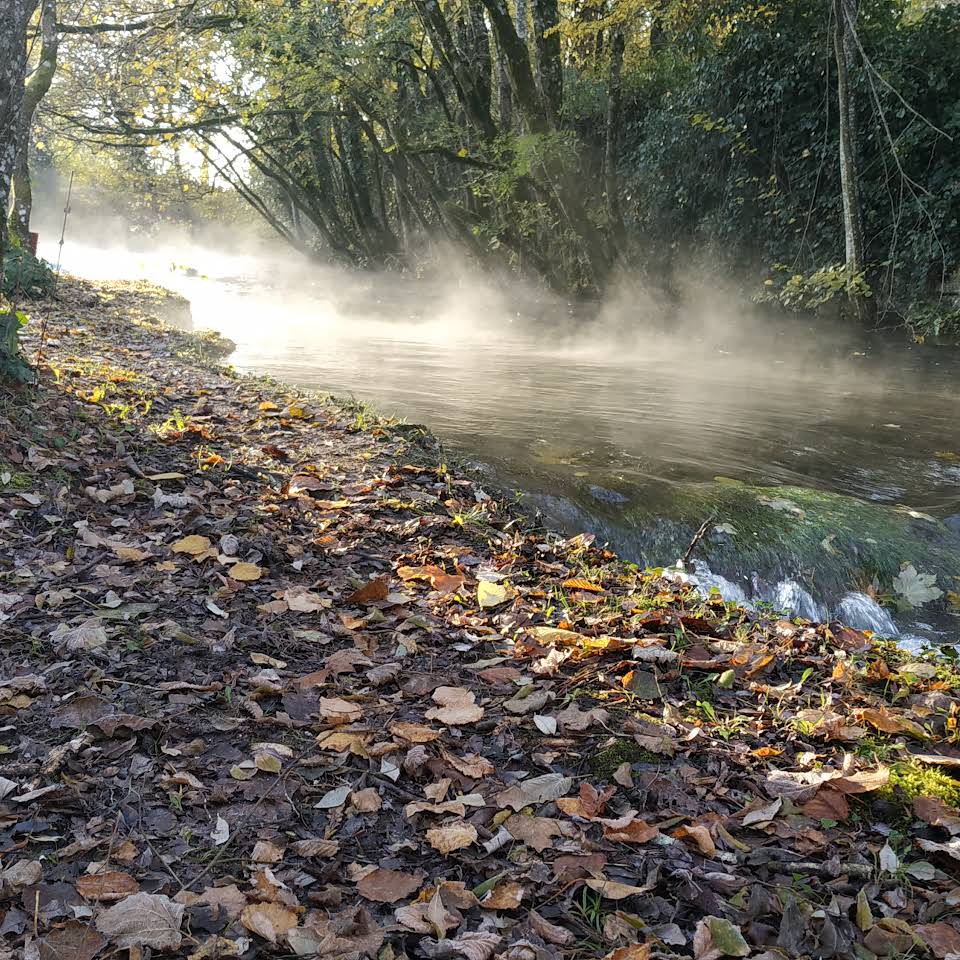 Gîte du Moulin de la Forge d'Ans, Cubjac-Auvézère-Val d'Ans - photo 2