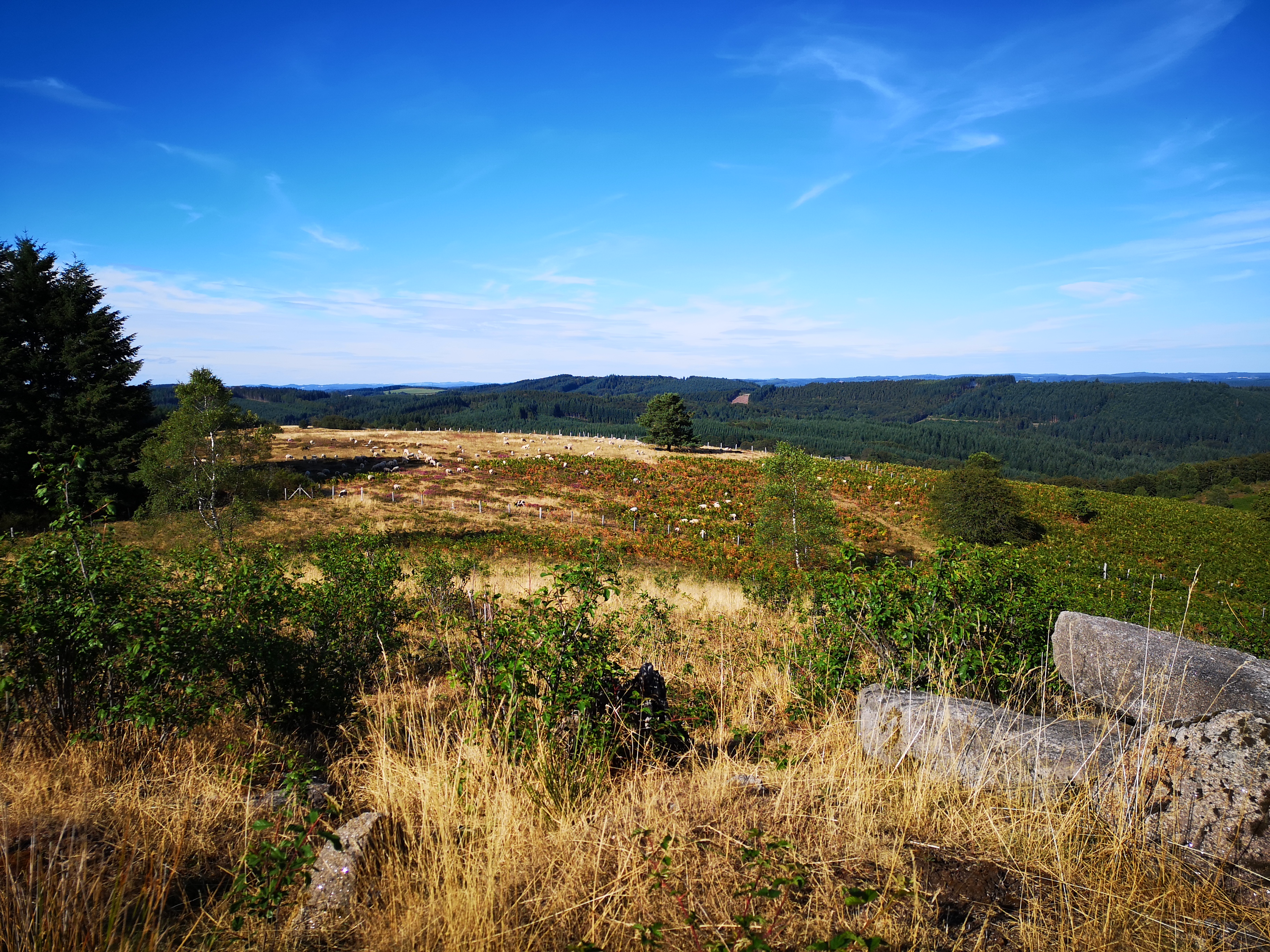 Saint-Dulcet à VTT, Chamberet - photo 2