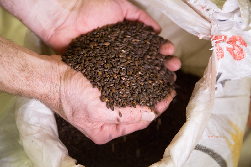 Naùera Bières et Vins - photo 5