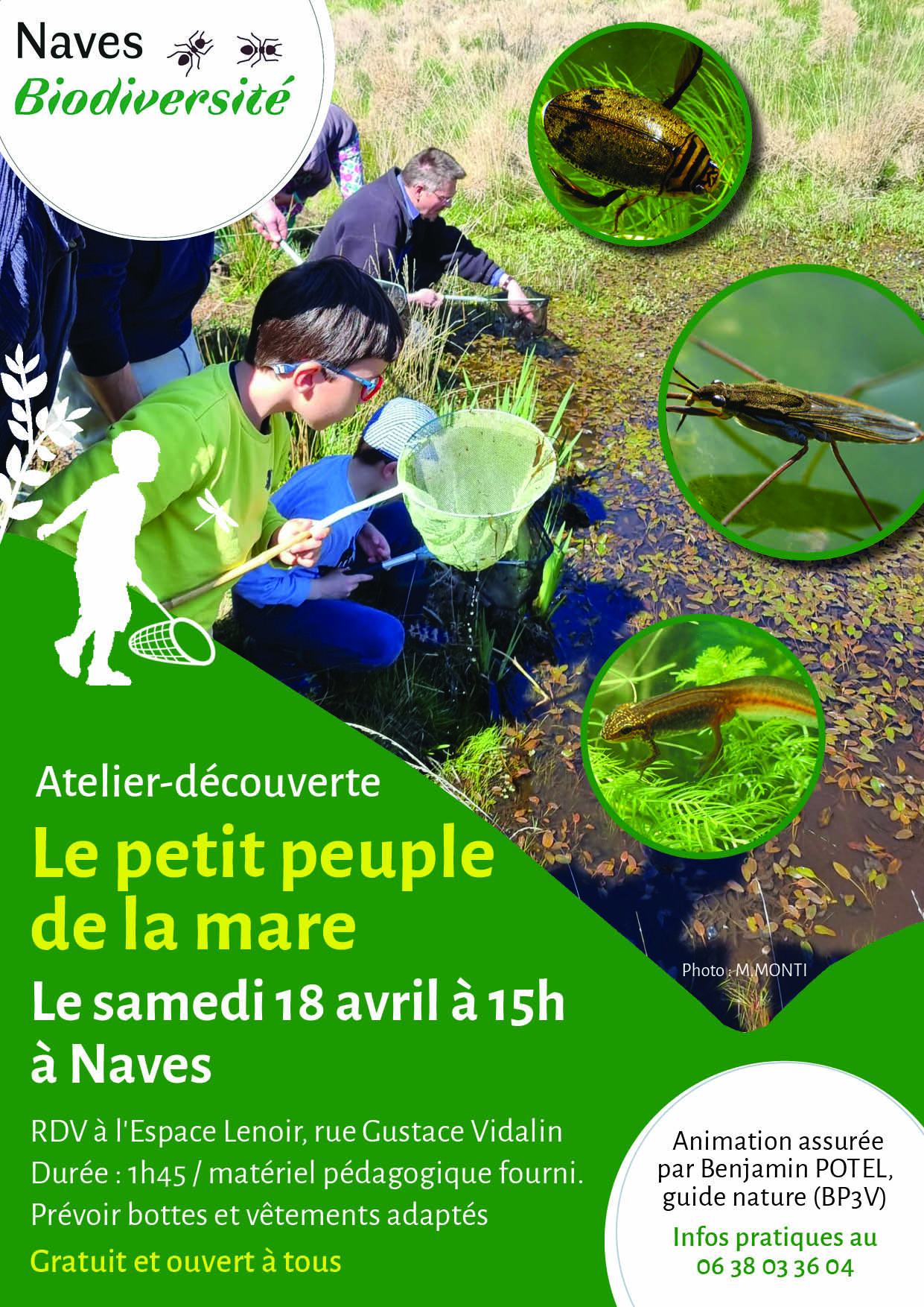 Atelier-découverte : Le Petit Peuple de la Mare — visuel événement
