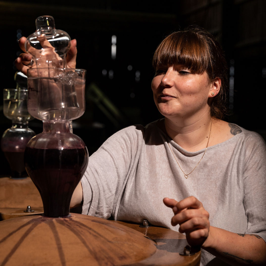 Château Carsin - photo 3