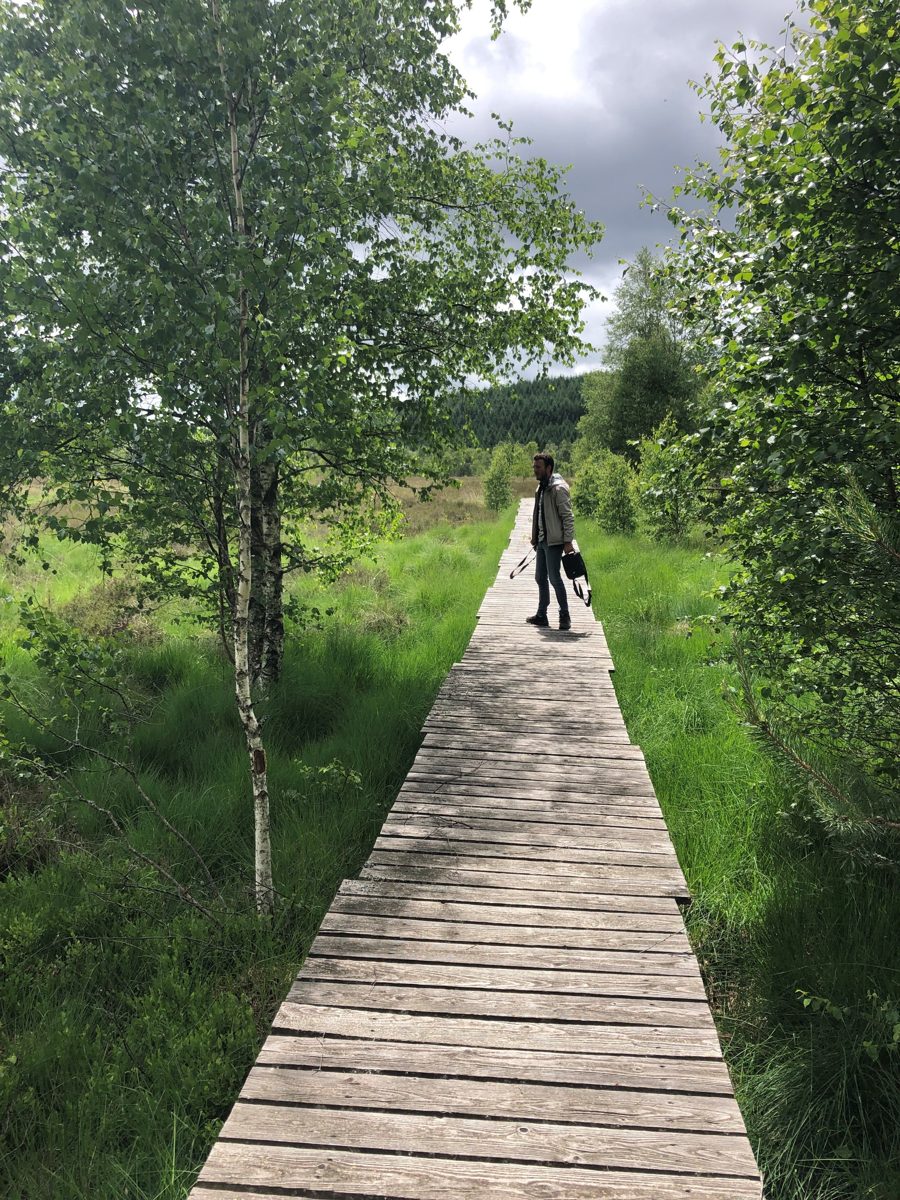 Tourbière de Négarioux Malsagne, Peyrelevade