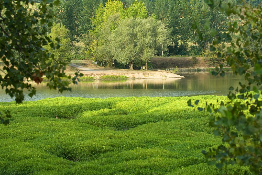 Lacs de Nerbis - photo 5