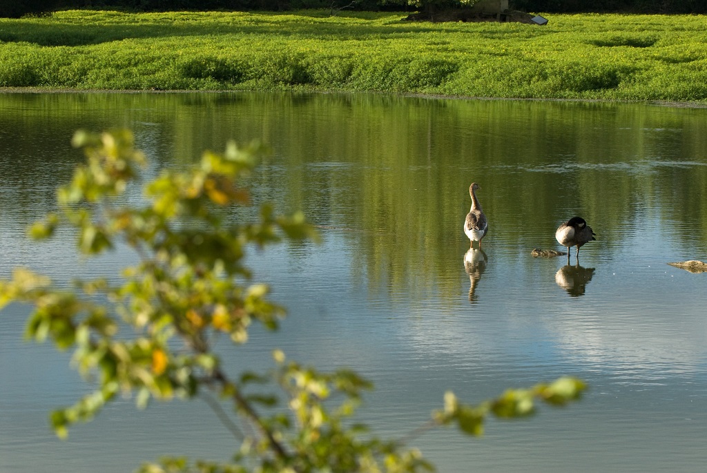 Lacs de Nerbis, Nerbis - photo 5