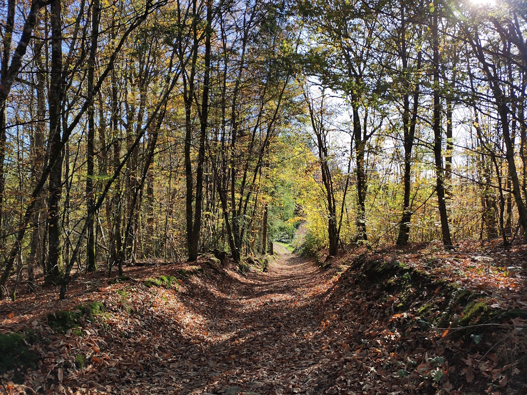 GRP®Monts et Barrages en Limousin - Boucle Entre Combade et Briance - Etape 1 - De Châteauneuf-la-Forêt à Sussac, Châteauneuf-la-Forêt - photo 8