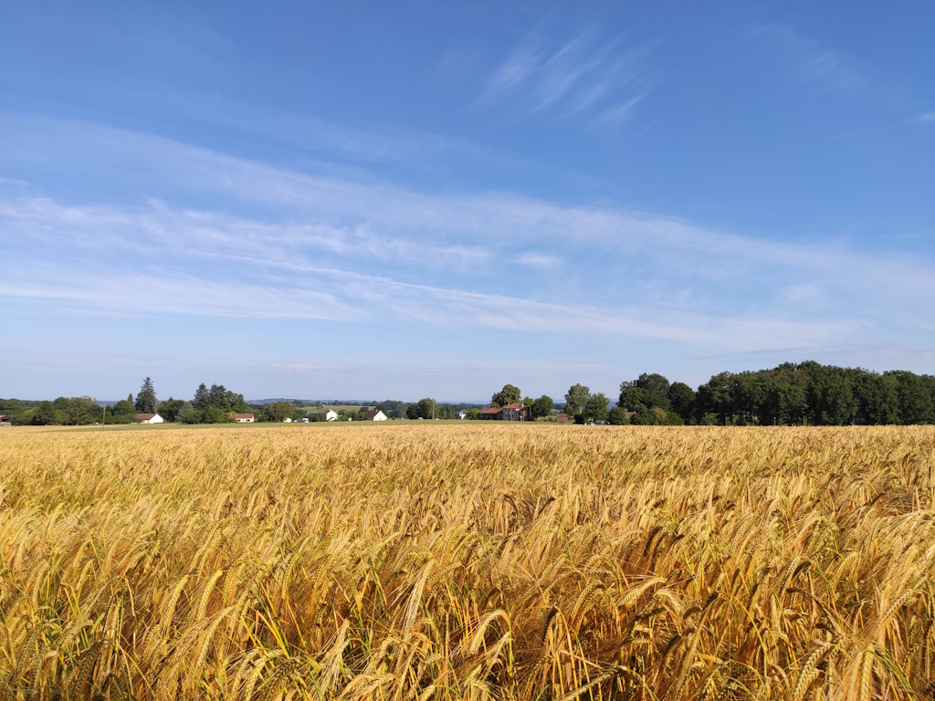 GRP®Monts et Barrages en Limousin - Boucle Entre Combade et Briance - Etape 1 - De Châteauneuf-la-Forêt à Sussac, Châteauneuf-la-Forêt - photo 2