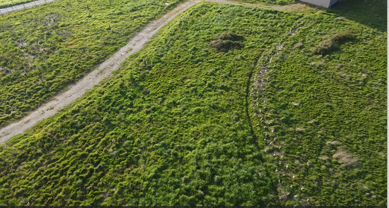 Visites Estivales 2026 - À la découverte de la forêt de Gaïa - Neuvy-Bouin, Neuvy-Bouin - photo 2