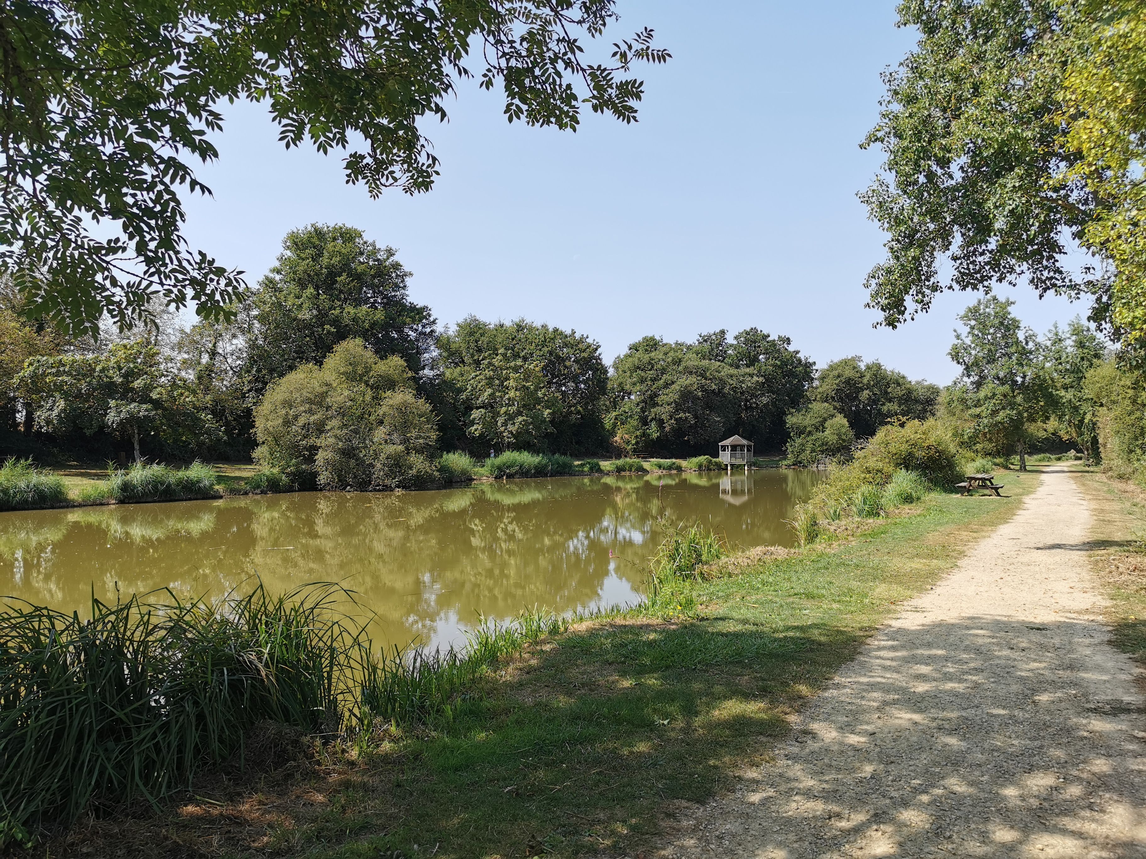 Etang de pêche communal de Nieuil