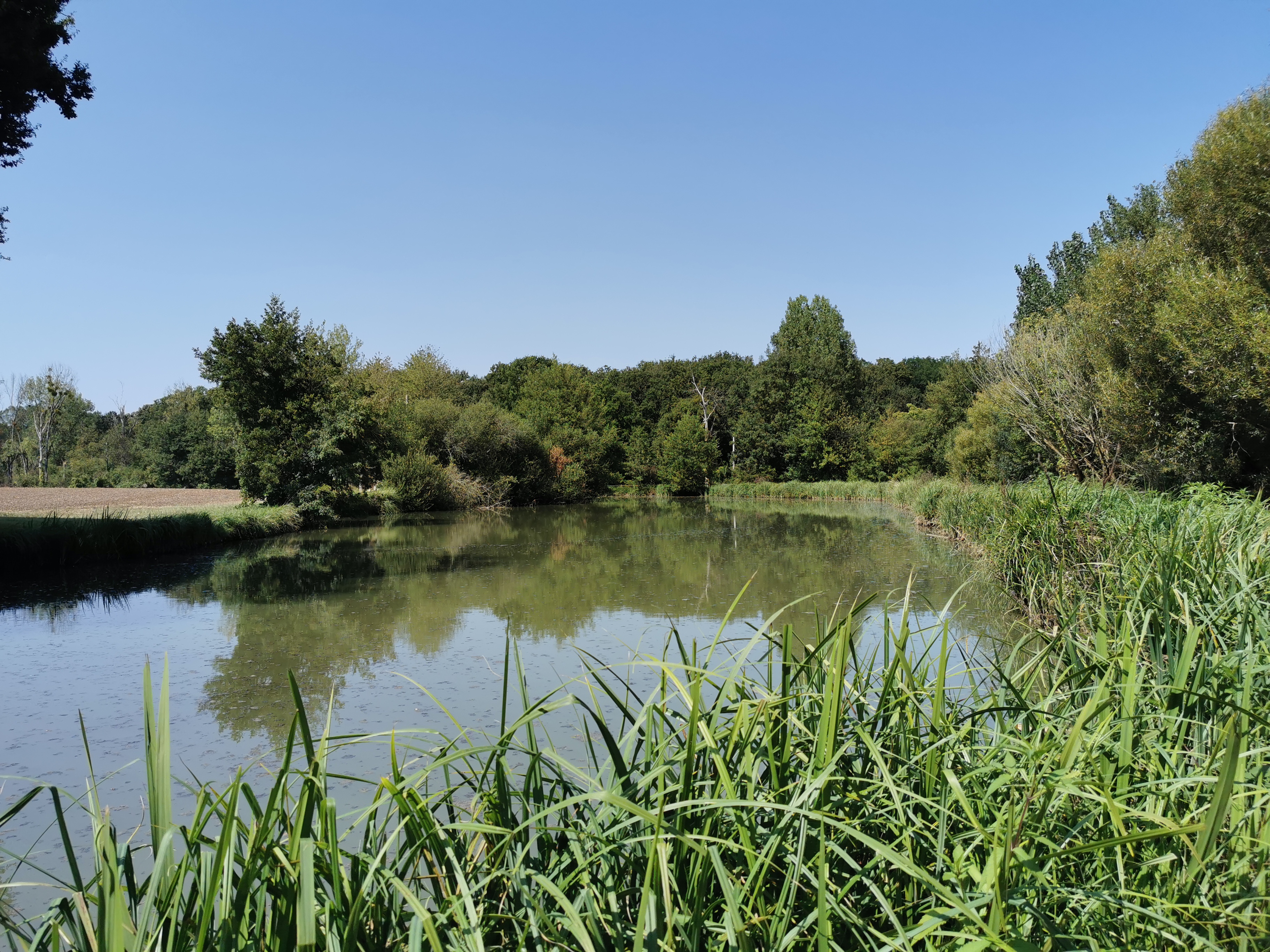 Etang de pêche communal de Nieuil - photo 2