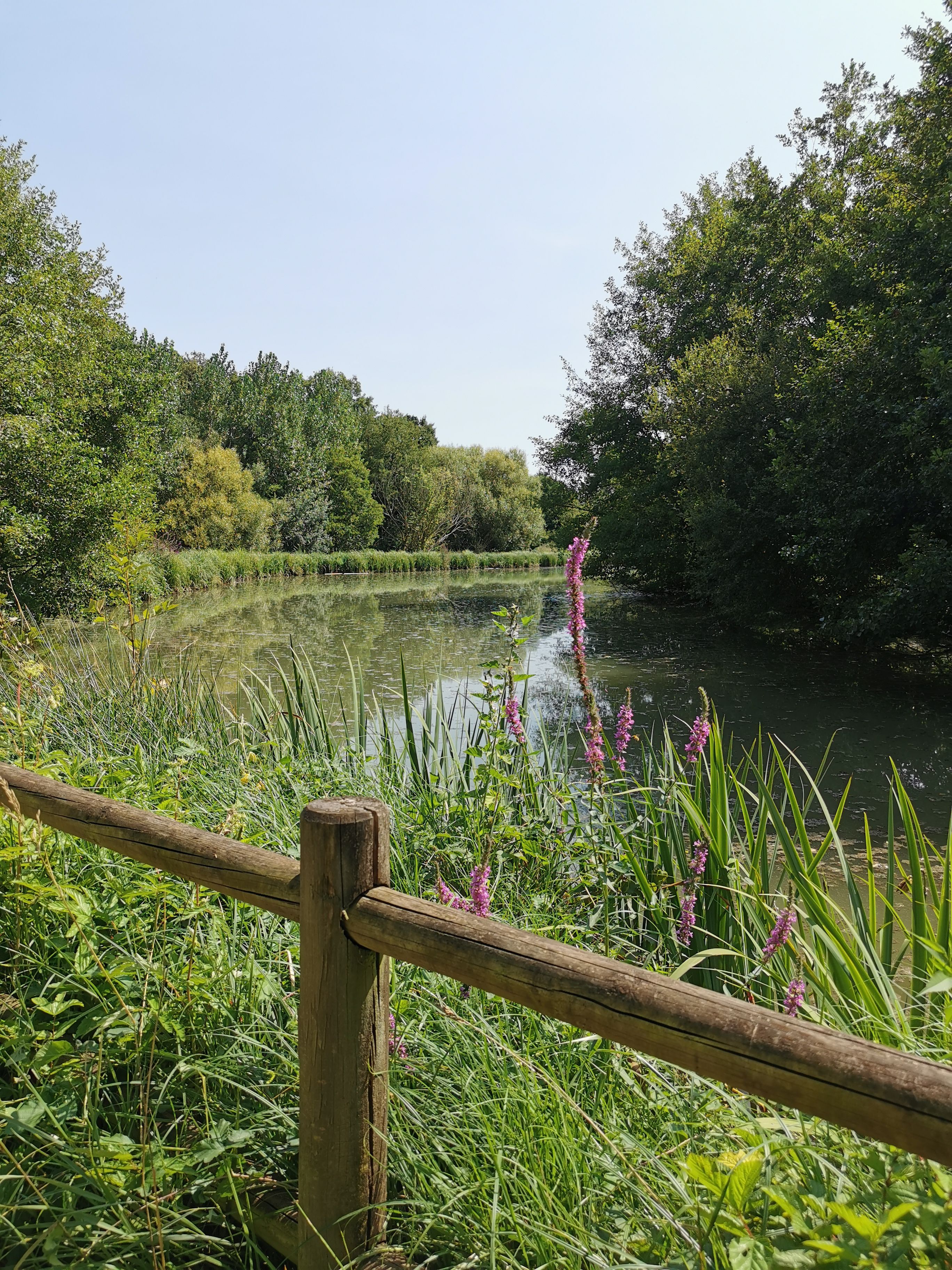 Pêche à l'étang communal de Nieul l'Espoir — photo 3