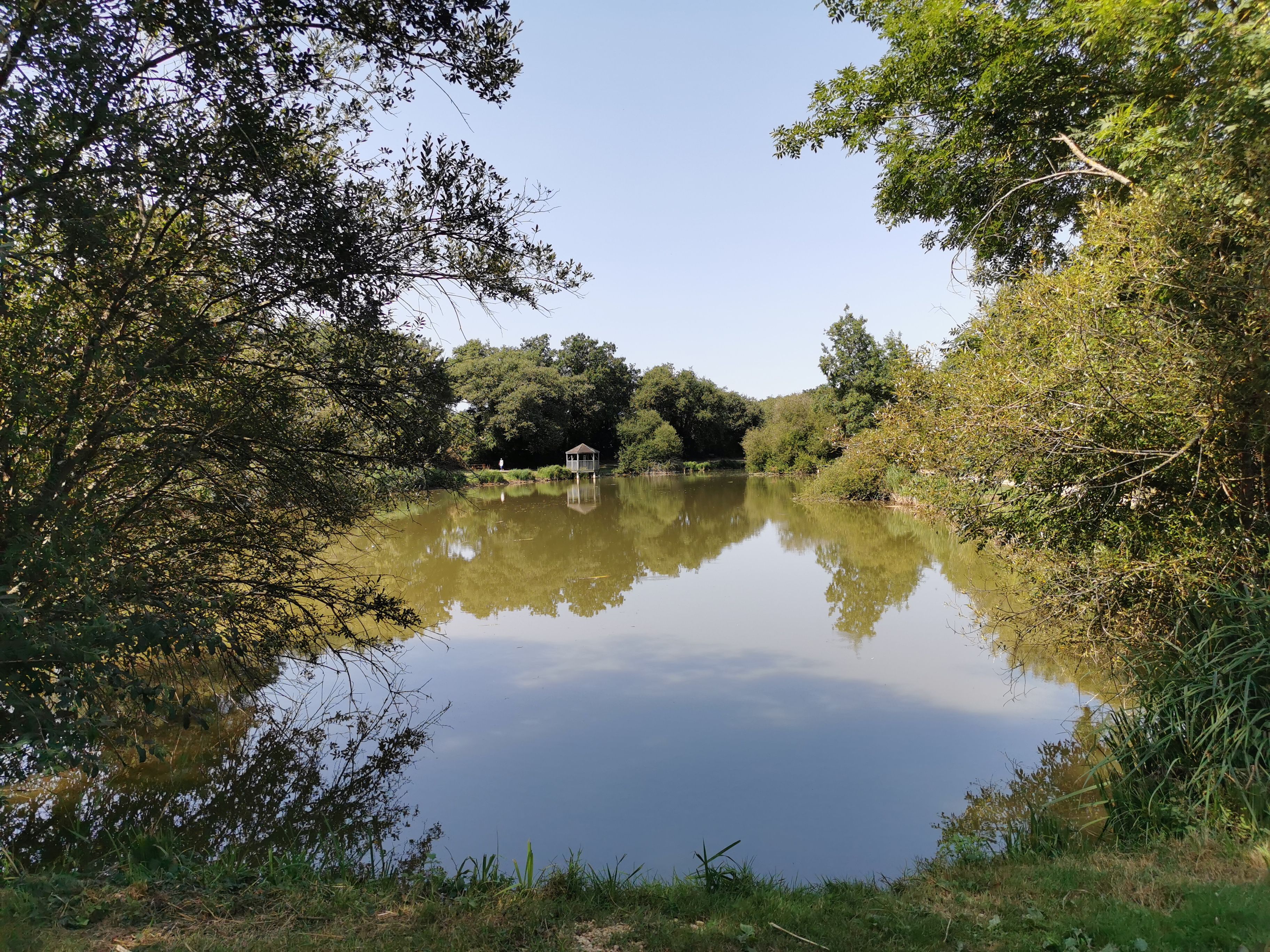 Etang de pêche communal de Nieuil - photo 3