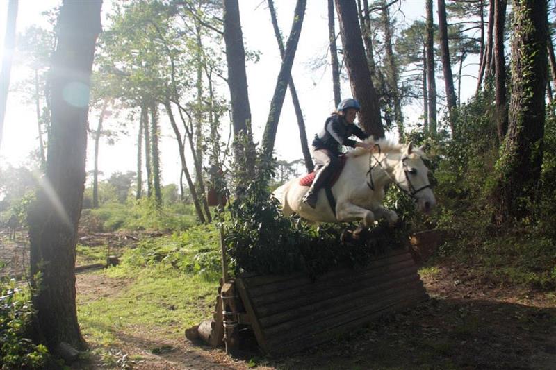 Niv'au Galop Club