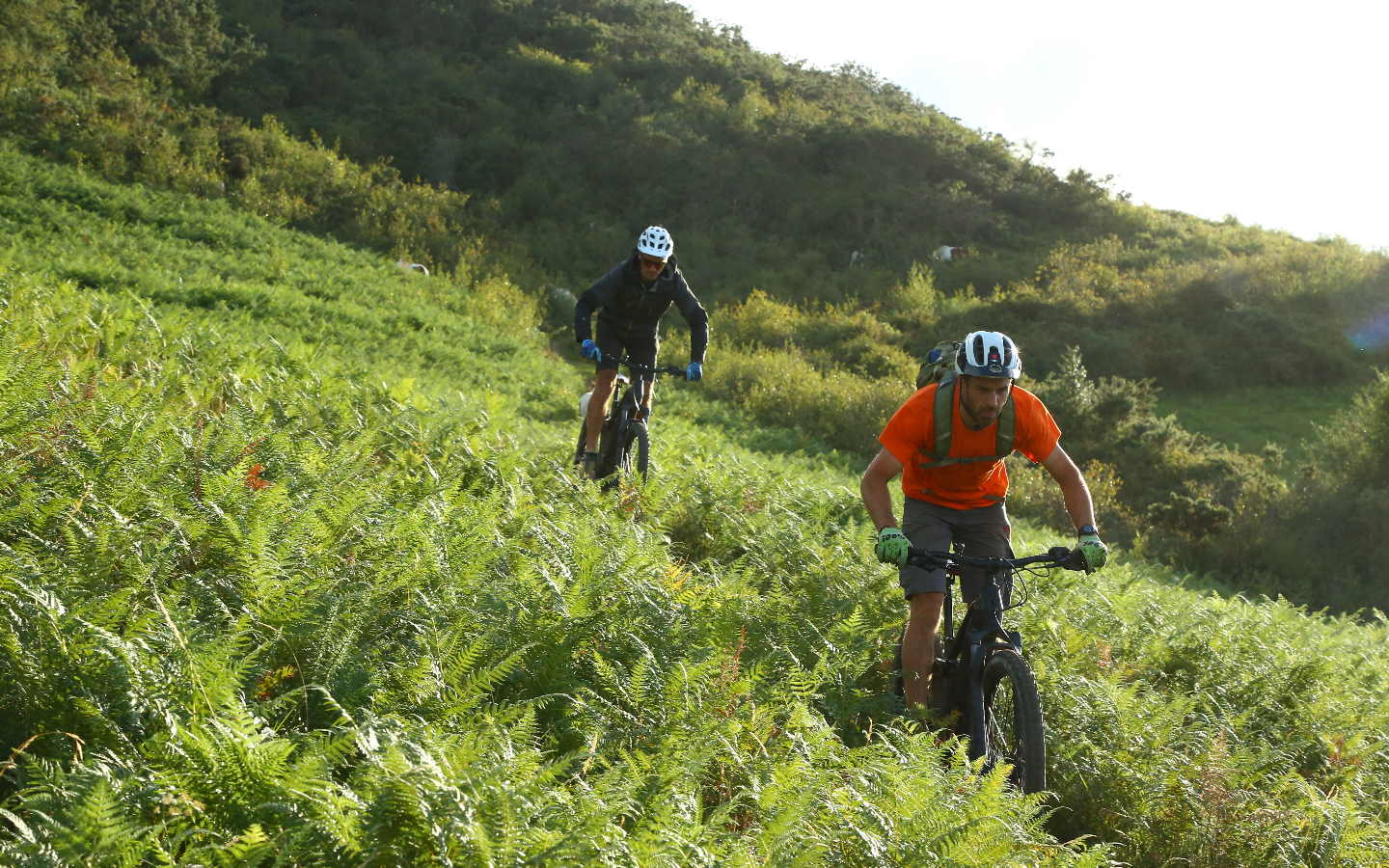 Noa Adventure locations E-VTT