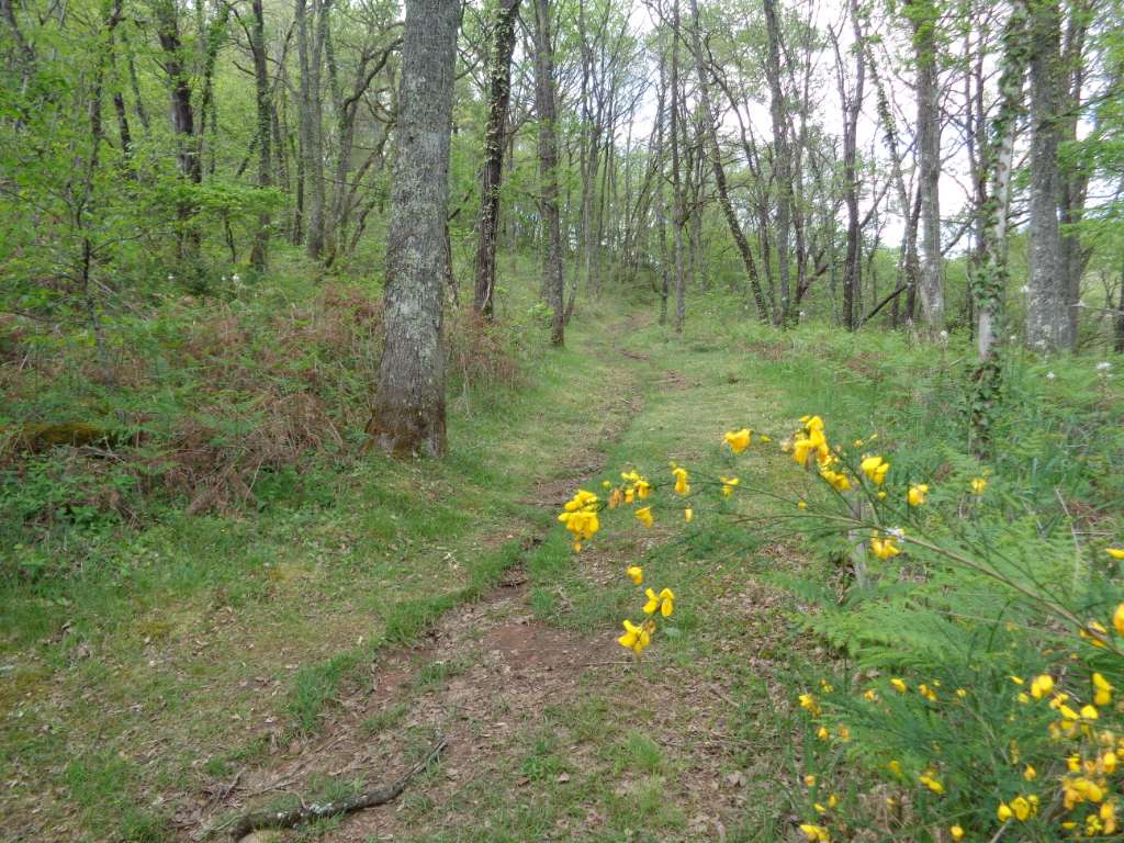 Les Chemins Retrouvés - VTT — photo 2